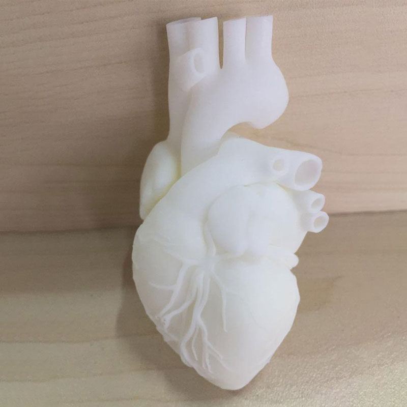 心臟模型3D打印
